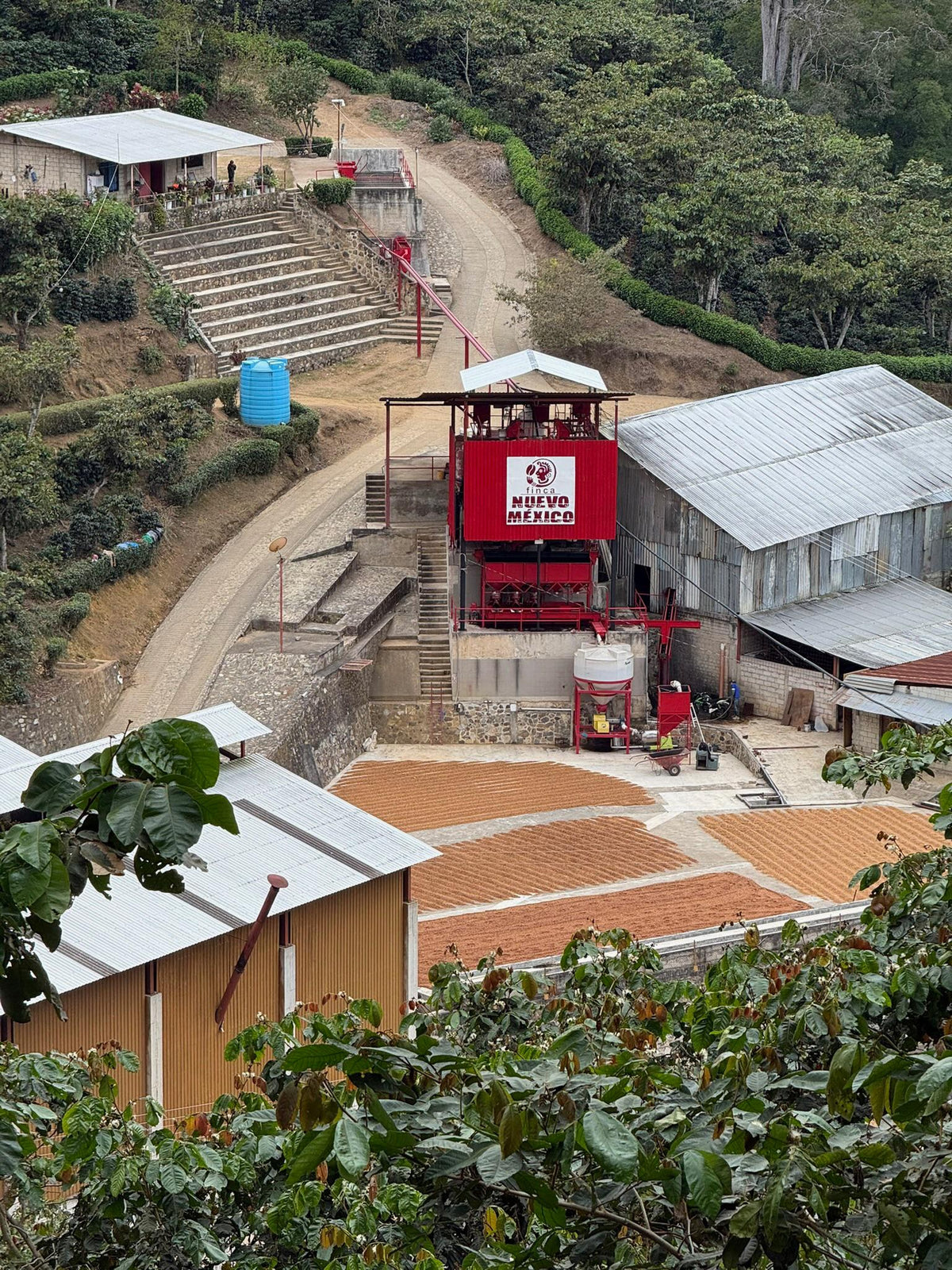 El beneficio de Finca Nuevo México y sus patios de secado en Chiapas